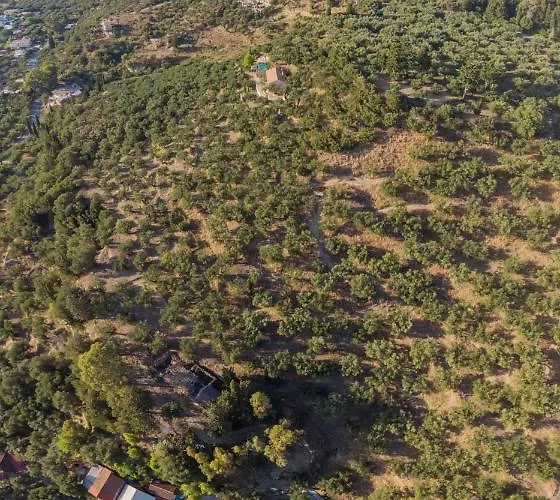 Villa Vermera Island Zakynthos